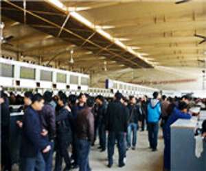 專(zhuān)業(yè)調(diào)車(chē)