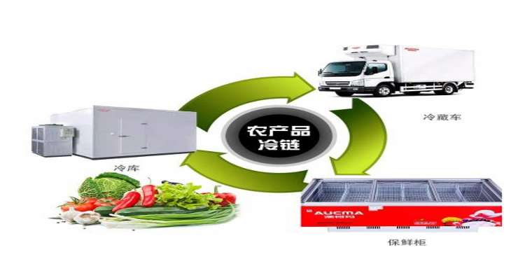 上海冷藏運(yùn)輸